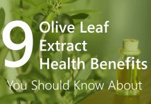 9 Olive Leaf Extract Health Benefits